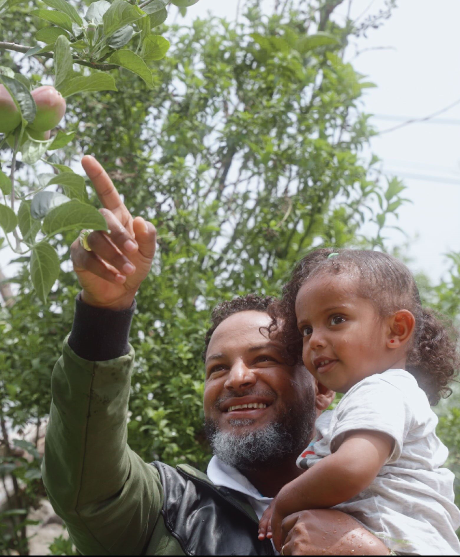 Integrated Knowledge Hub