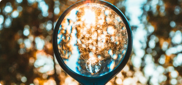 Standards and Quality Assurance